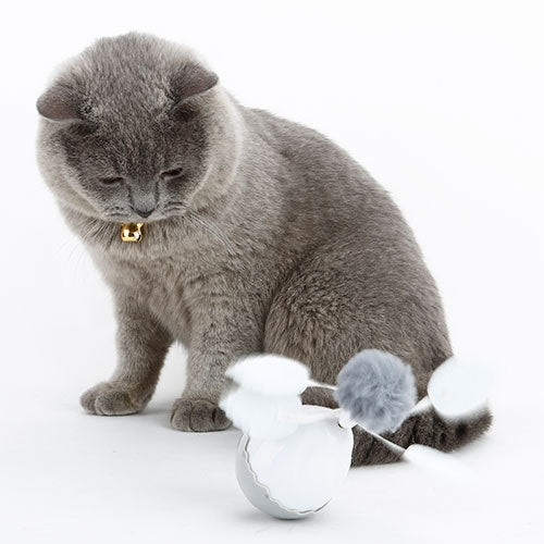 ELECTRONIC MOTION EGG CAT TOY - 12 x 7 cm