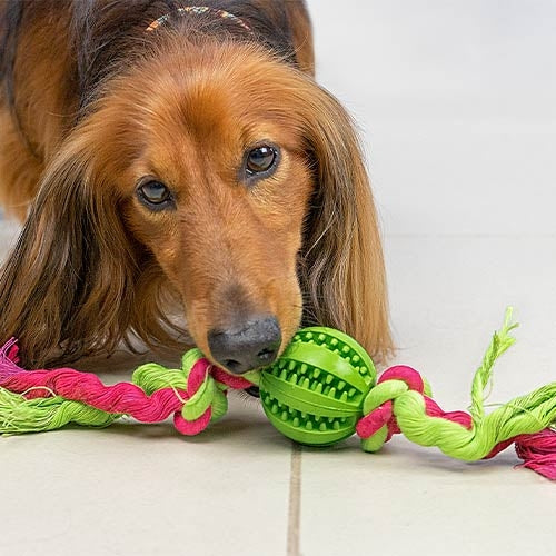 CLEAN TEETH BALL WITH KNOTS