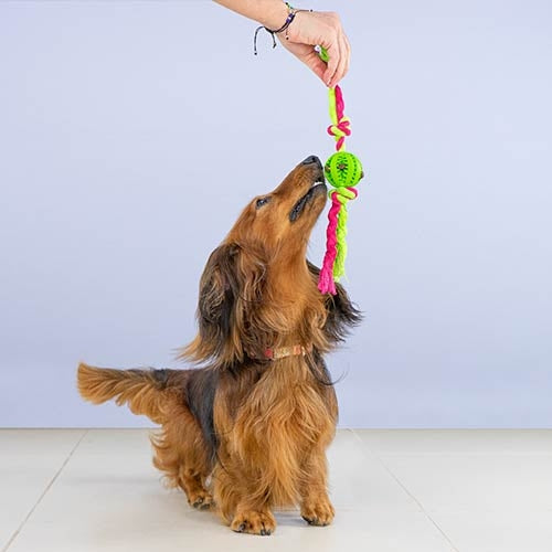 CLEAN TEETH BALL WITH KNOTS