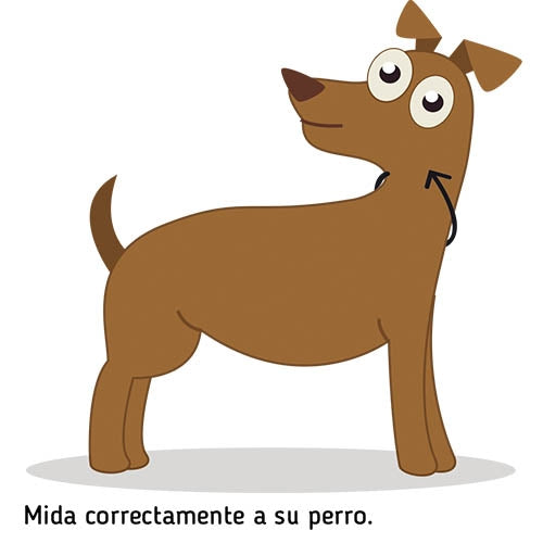 SPRENGER LINK Collar