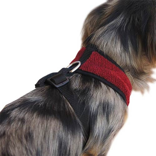 SOFTLY HARNESS 36-48 cm