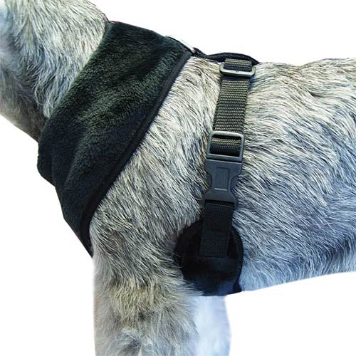 SOFTLY HARNESS 36-48 cm