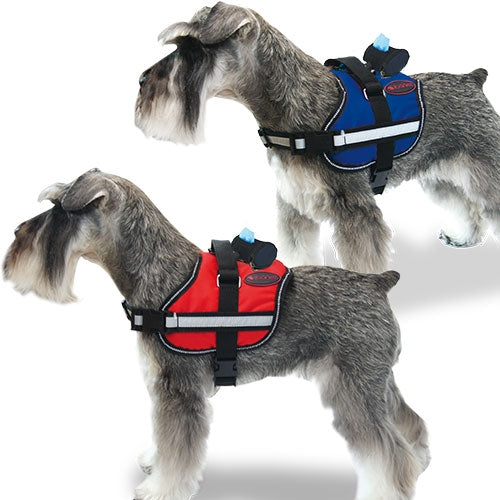 ACTIVE HARNESS