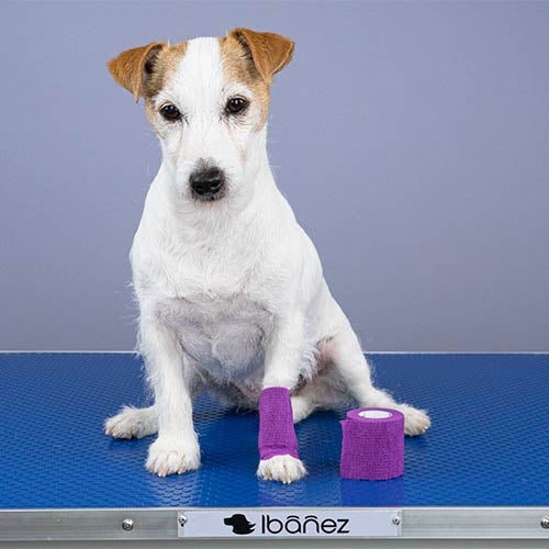 COHESIVE ELASTIC BANDAGE