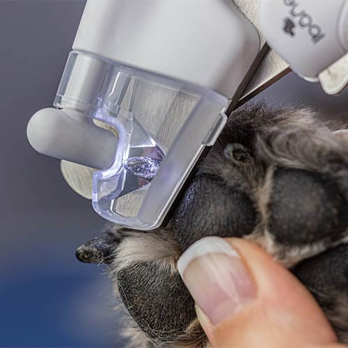 LED NAIL CLIPPER