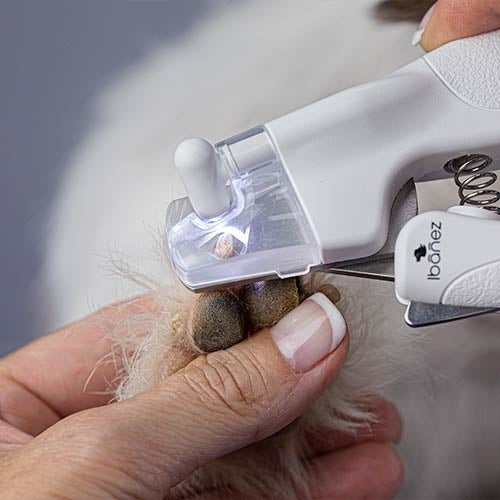 LED NAIL CLIPPER