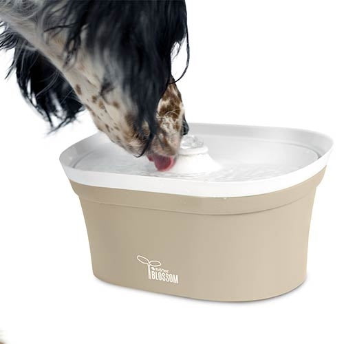 BLOSSOM WATER FOUNTAIN