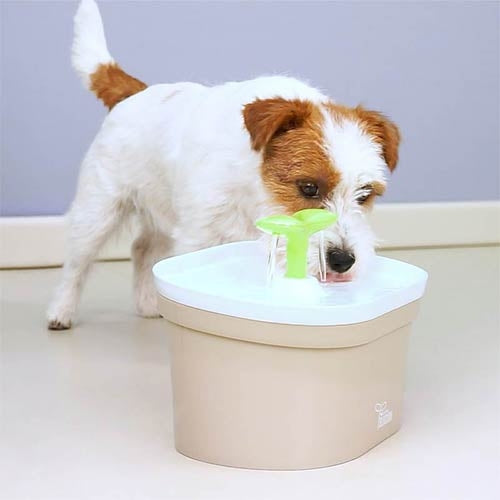 BLOSSOM WATER FOUNTAIN