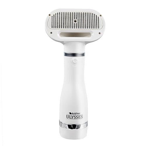 ULYSSES HAIR DRYER BRUSH
