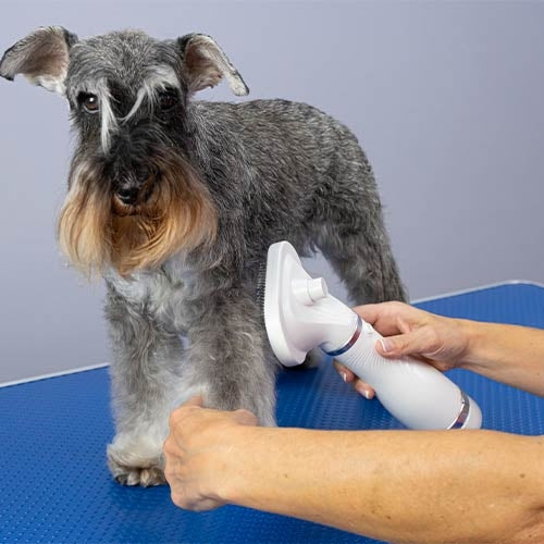 ULYSSES HAIR DRYER BRUSH