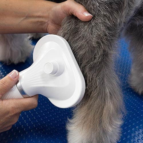 ULYSSES HAIR DRYER BRUSH