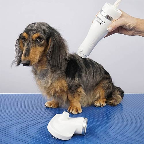 ULYSSES HAIR DRYER BRUSH