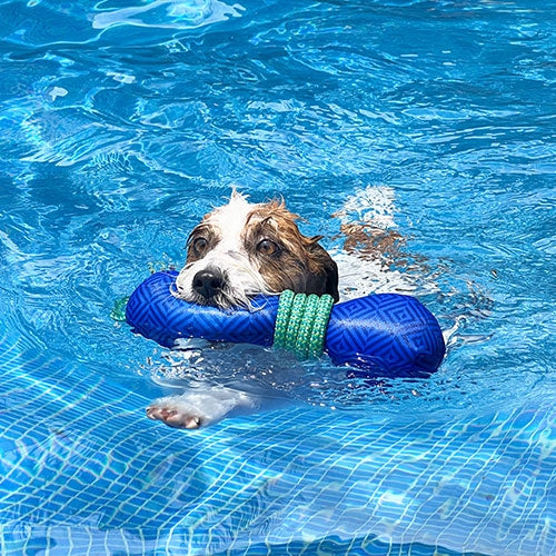 LAUNCHER FLOATING TOY - 23 x 8.5 cm