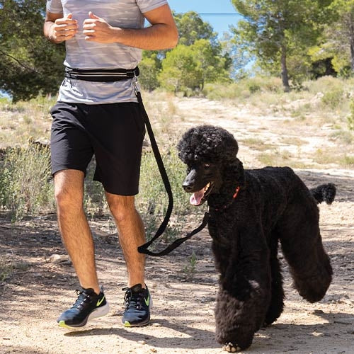 RUNNING ON GO LEASH