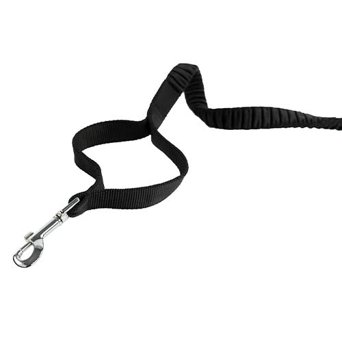 RUNNING ON GO LEASH