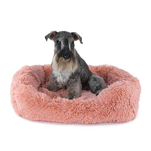 CARESS PET BED - 80 x 65 x 21 cm