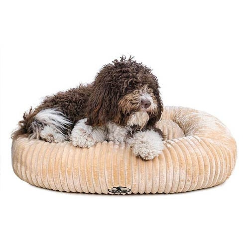 AURA CUSHION