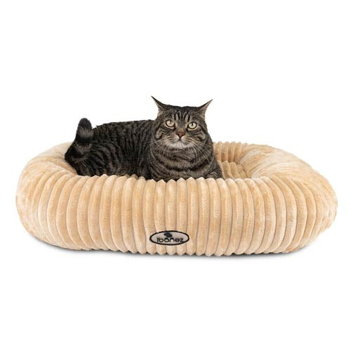 AURA CUSHION