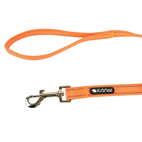 REFLECTIVE NYLON LEASH