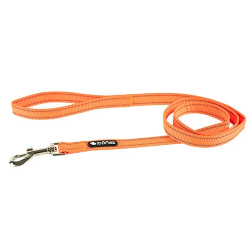 REFLECTIVE NYLON LEASH