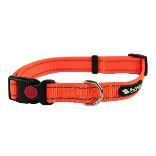 REFLECTIVE NYLON Collar
