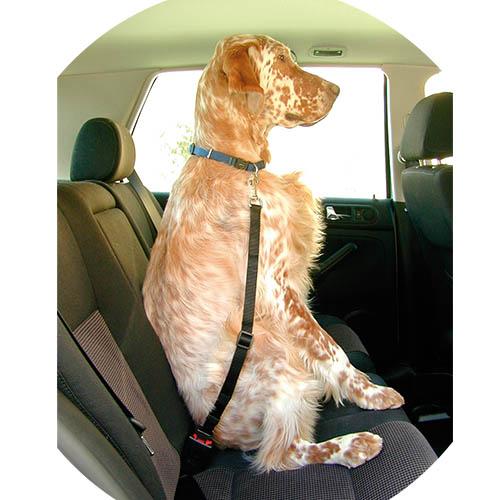 SAFETY BELT - BASIC - 2 x 45-70 cm