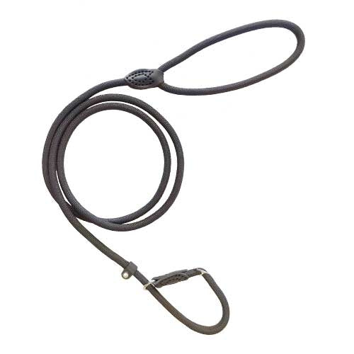 Leash Lazo