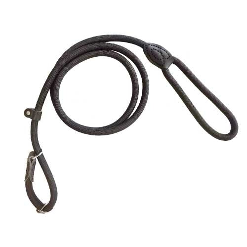 Leash Lazo