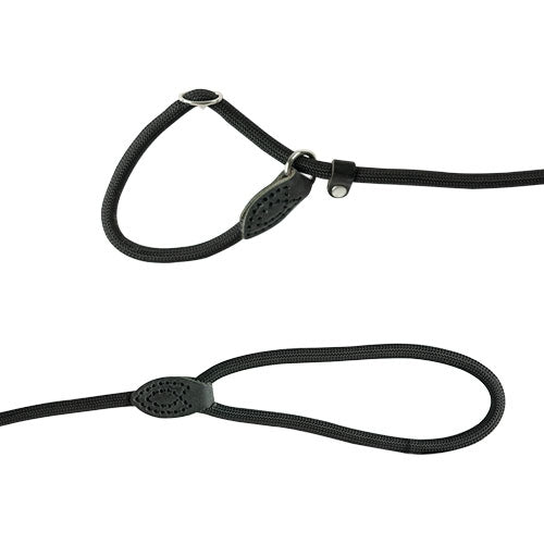 Leash Lazo