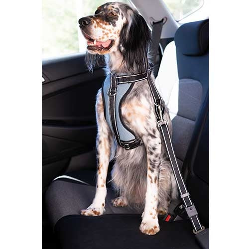 CAR HARNESS