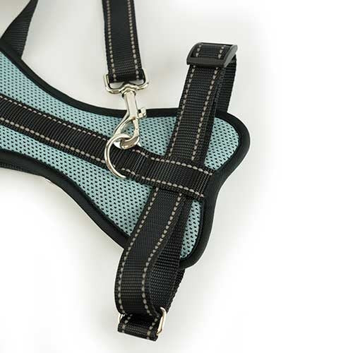 CAR HARNESS