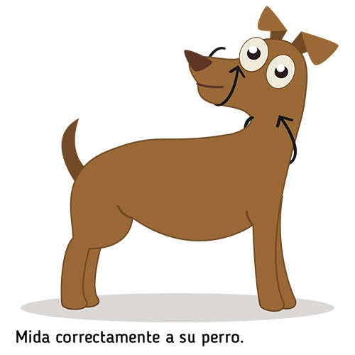 Dog guider