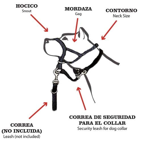 Dog guider