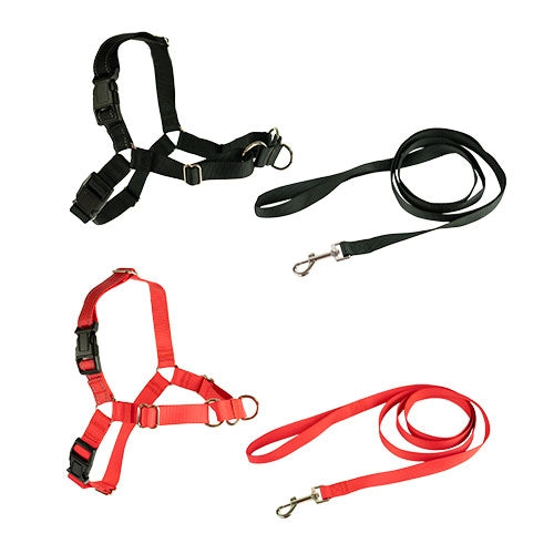 STOP-PULLING HARNESS AND LEASH