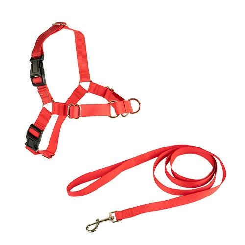 STOP-PULLING HARNESS AND LEASH