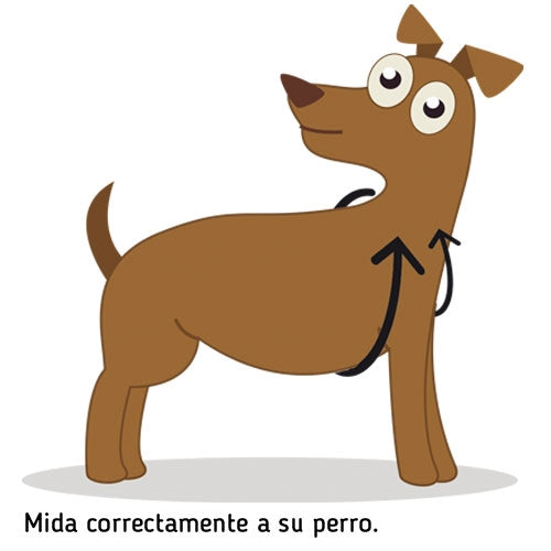 STOP-PULLING HARNESS AND LEASH