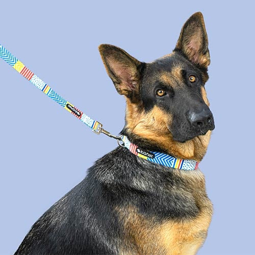 FANTASY GEO NYLON Collar