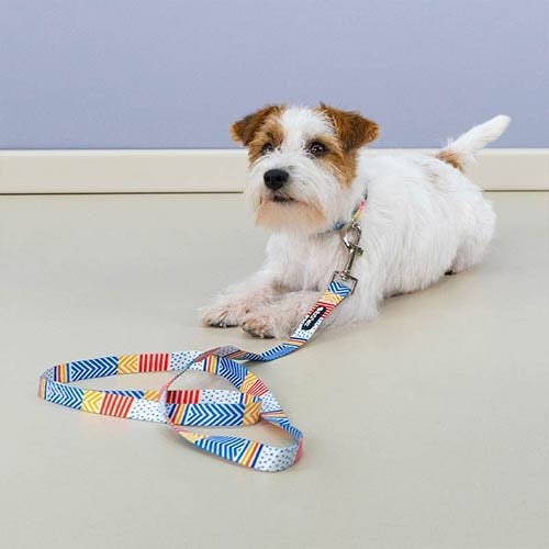 FANTASY GEO NYLON LEASH
