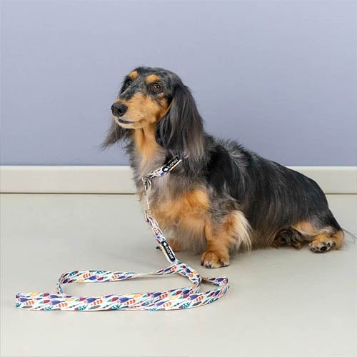 FANTASY GEO NYLON LEASH