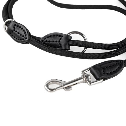 NYLON AND LEATHER TRAINING LEASH