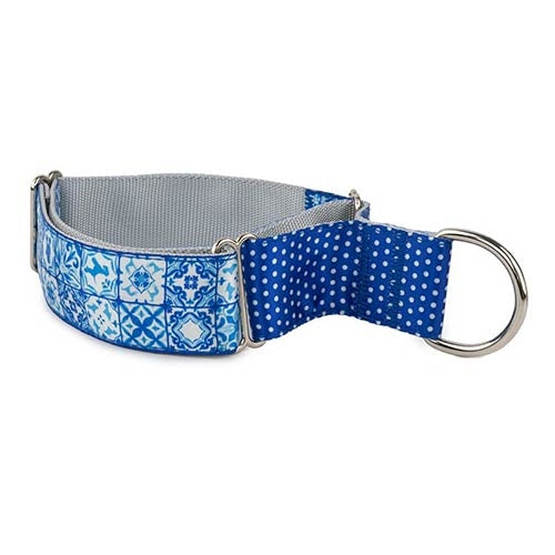 GLAM NYLON MARTINGALE Collar