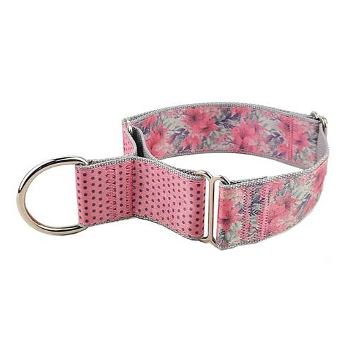 GLAM NYLON MARTINGALE Collar