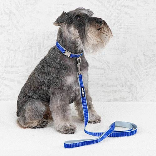 GLAM NYLON Collar