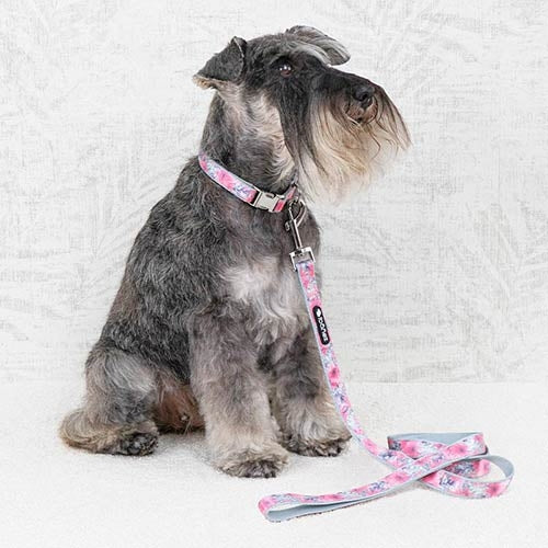 GLAM NYLON LEASH
