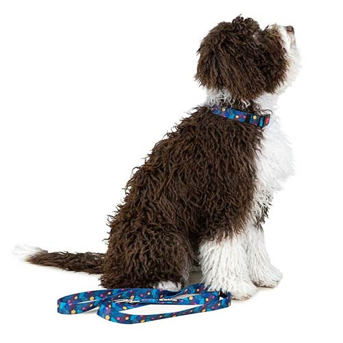 OCEAN & POLINESIA NYLON Collar
