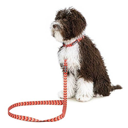 FANTASY SNAKE NYLON LEASH