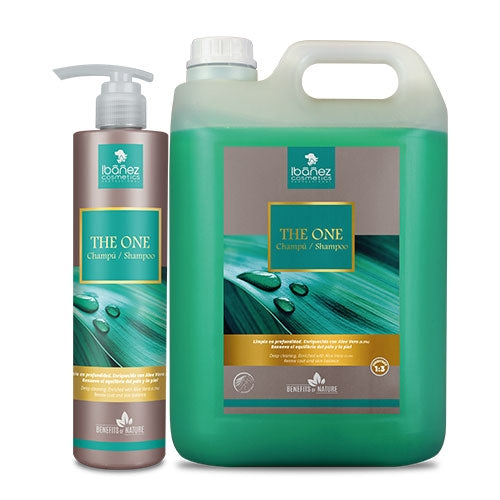 THE ONE SHAMPOO