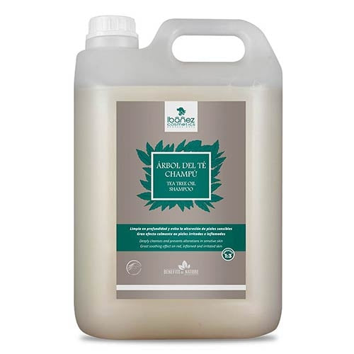 TEA TREE OIL SHAMPOO