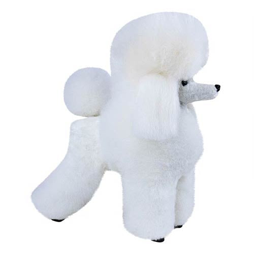 Poodle Hair