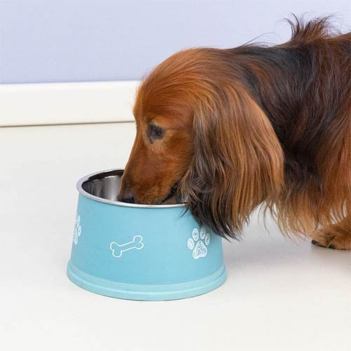 LONG EARS STAINLESS STEEL FEEDER - 900 ml